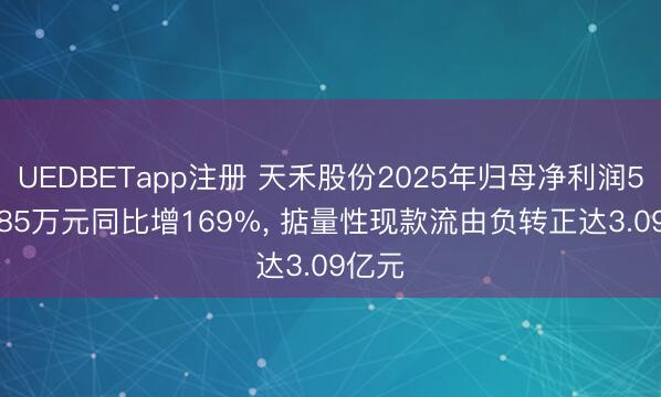UEDBETapp注册 天禾股份2025年归母净利润5981.85万元同比增169%, 掂量性现款流由负转正达3.09亿元